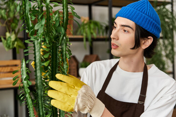 Handsome young man enthusiastically transplanting vibrant plants in a cozy studio setting