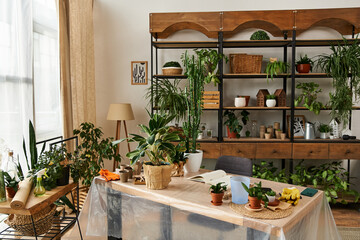 Fresh plants in modern well lit studio with table prepared for transplanting.