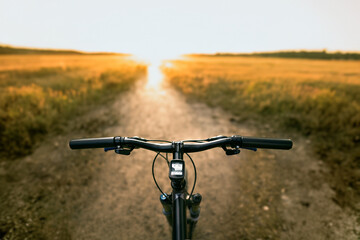 Summer Evening Bike Ride in Nature