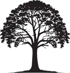 Fototapeta premium Tree silhouette Vector | Minimalist & Trendy Tree Silhouette Design | Unique & Stylish Tree Artwork for Vector design 