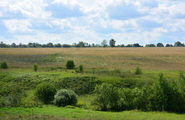 Rolling hills under a bright cloudy sky, a picturesque rural landscape