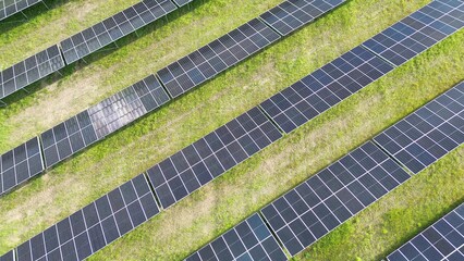 Green technology development in European states
