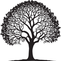 Fototapeta premium Tree silhouette Vector | Minimalist & Trendy Tree Silhouette Design | Unique & Stylish Tree Artwork for Vector design 