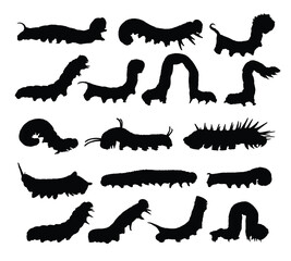 Set of caterpillar silhouettes.
