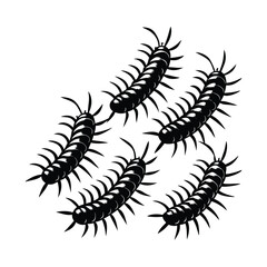 Creepy Centipede Silhouette Vector Collection – Black Insect Bug Illustration for Pest Control, Science, Nature, and Horror Graphic Design