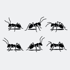 Silhouette Vector Illustration of Ants Walking in Different Poses – Insect Icon Set for Nature, Biology, and Pest Control Concepts