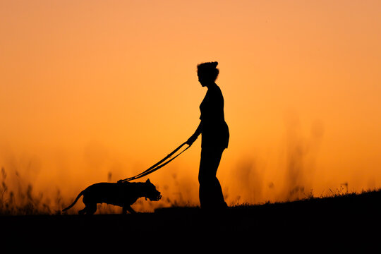Chica paseando a su perro en silueta al atardecer 