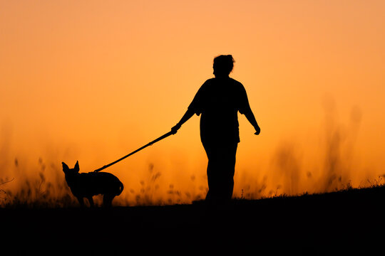 Silueta de chica paseando a su perro atardecer 