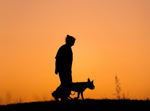 Silueta de perro y su due&ntilde;a al atardecer 