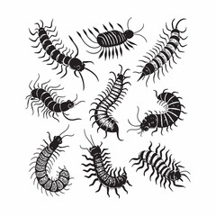 Set of Hand Drawn Black and White Centipede and Millipede Illustrations – Vintage Insect and Arthropod Vector Collection for Science and Nature Designs