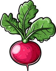 Illustration of a fresh radish with green leaves on a black background.