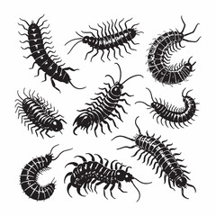 Hand Drawn Black and White Centipede and Millipede Vector Collection – Detailed Insect and Arthropod Silhouette Illustrations for Science, Nature, and Vintage Design Projects