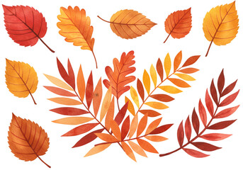 Fototapeta premium Autumn Watercolor Illustration Of Various Leaves In Yellow Orange And Red