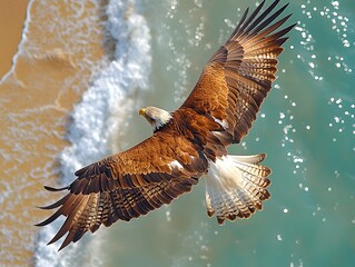 A majestic eagle soaring over a golden beach