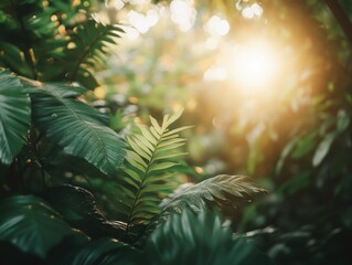 Tropical Rain forest with Vibrant Green Foliage and Sunlight