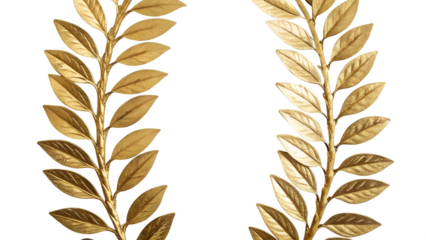 Two golden laurel branches with detailed leaves on a transparent background. Isolated PNG suitable for various design projects.