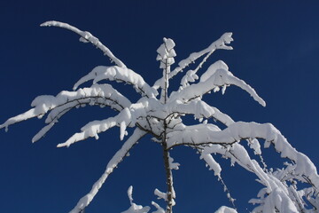 Beautiful winter landscape