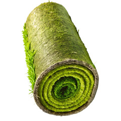 Rolled green artificial turf grass carpet with visible layers and texture isolated on a transparent background