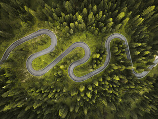 Aerial view of a serpentine road carving through a dense forest, the asphalt a stark grey ribbon amidst the vibrant green canopy, Giau Pass, Veneto, Italy.