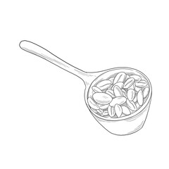 coffee roasted scoop sketch illustration