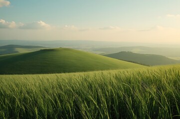 Obraz premium Great Natural Green Background. Spring Rolling Green Hills With Fields Of Wheat.
