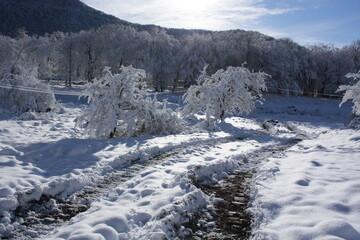 Beautiful winter landscape