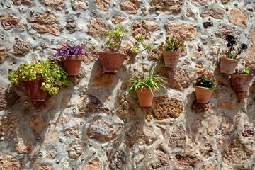 Clay pots with green and purple plants hang on a rustic stone wall in sunlight, adding natural...