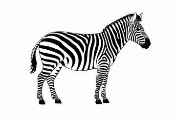 Obraz premium Striped Zebra: Striking illustration of a solitary zebra, showcasing its distinctive pattern. This monochrome artwork captures the essence of this iconic animal.