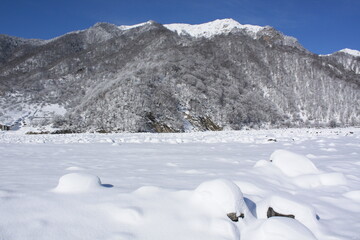 snow covered mountains