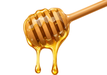 Illustration of Honey Dipper Dripping with Sweet Golden Liquid