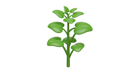 Fototapeta premium Isolated Green Plant Leaf Stem Botany on Transparent Background