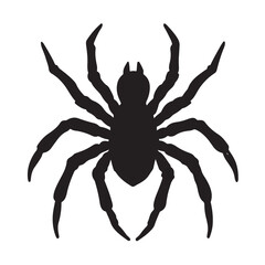 Glowing Neon Spider with Black Background