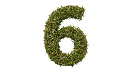 Isolated Plant Number Six Graphic Element on Transparent Background