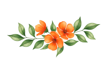 Illustration of Orange Floral with Green Leaves Watercolor and Transparent