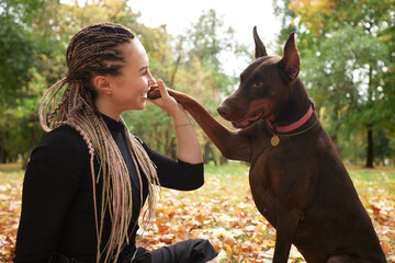 Beautiful Caucasian girl and Doberman pinscher are playing outside in autumn park. Caring female...