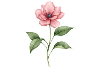 Illustration of Pink Flower with Watercolor Leaves Transparent Background