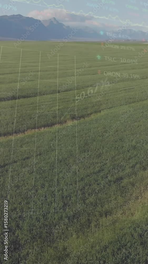 Poster animation of financial data processing over fields