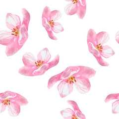 Seamless pattern with blooming pink spring flower isolated on white. Apricot, cherry, pear,almond, apple, peach flowers. Hand drawn watercolor flowers for fabric, prints, invitation cards, textile