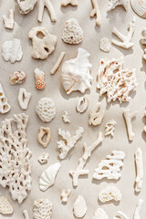 Trend pattern from closeup seashells, coral on sandy tones background. Minimal photo at sunlight. Summer vacation concept, beach mood. Nautical design. Top view nature aesthetics vertical still life