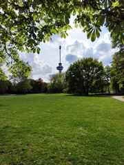 City park in Rotterdam in the spring