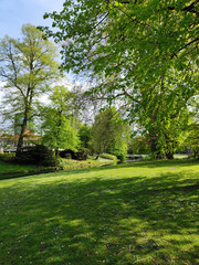City park in Rotterdam in the spring