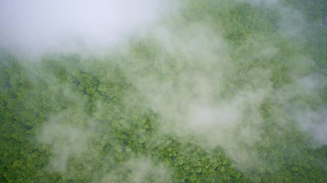 Cinematic sweep above the Great Smoky Mountains shrouded in haze.