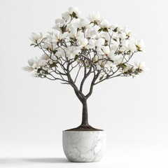 A beautifully crafted magnolia tree in bloom.