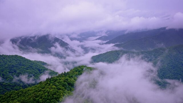 Aerial cinematic pass through a foggy Smoky Mountain morning.