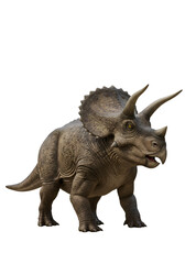 Fototapeta premium Illustration of Triceratops Dinosaur Extinct Animal with Horned Isolated