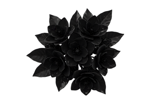 Glossy Black Floral Arrangement Decoration on a Transparent Background