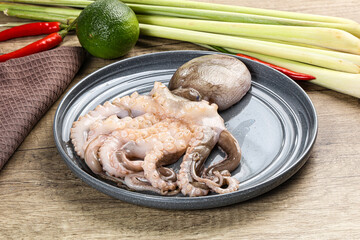 Raw fresh octopus for cooking