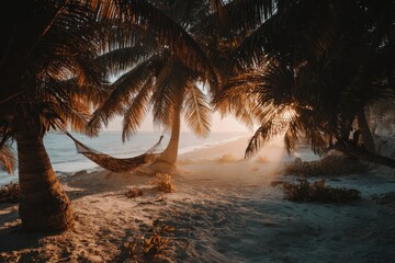 Tropical beach hammock scene