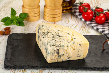 Gourmet blue cheese with mold