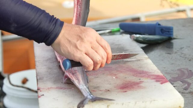 魚を捌く男性